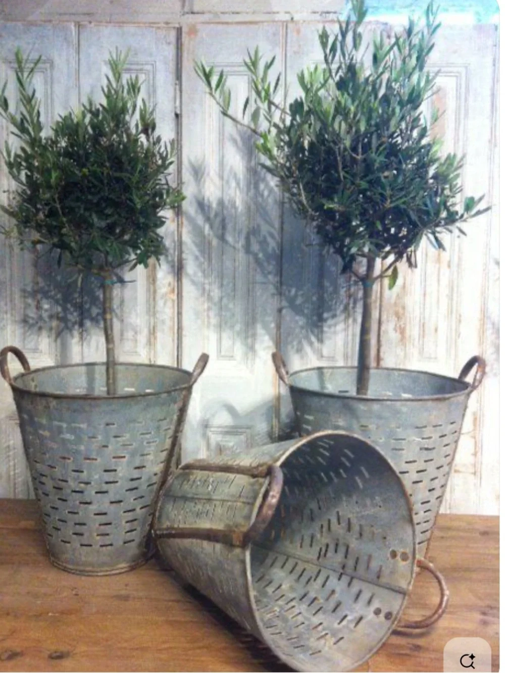 Olive Bucket Basket Vintage Galvanized Metal Vase Decor Farmhouse Country